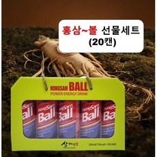 온니위드 홍삼볼 홍삼농축액 헛개나무 맥문동 선물세트, 2박스(20캔), 245ml