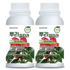 식물영양제 관엽식물 화초 뿌리발달 폴리인산 아미노산 광합성촉진성분 제닉피앤에스 친환경 고농축 화초영양제 뿌리잘자라, 2개, 500ml