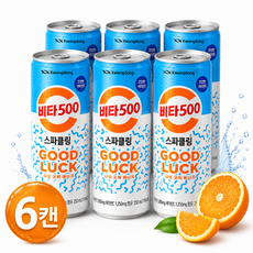 온니위드 광동 비타500 스파클링 비타민C 탄산음료, 250ml, 6개