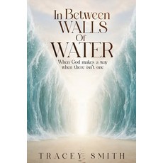(英文圖書)In Between Walls Of Water 平裝版, All in His Hands Press, English