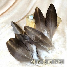 聖哲曼 儀式鷹羽 (小/大) 老鷹羽毛 自然脫落羽毛 風元素 逗貓道具 逗貓棒材料, 1個, 鷹羽(小) 4支1200元