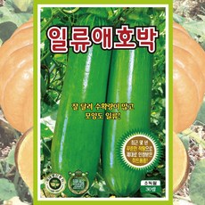 호박 씨앗 모음 종자 맷돌 쥬키니 미니꿀, 05. 일류애호박, 1개