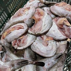 통영 손질 아귀 생물 냉동 아귀 애 통영 아구 찜 냉동 아구 꼬리 아구간 아귀위 아귀꼬리 아구애 아귀살, 1개, 1kg 1-2미