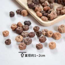 綜合乾燥花材/乾燥材料/聖誕藤圈花圈材料, 1個, 超迷你小南瓜(8個)