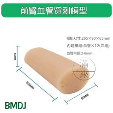 BMDJ 前臂血管穿刺模型 模組尺寸:205x90x65mm 內建血管:12組 血管內徑:2-6mm, 1個, 前臂血管穿刺模型BMDJ
