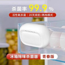 냉장고 탈취제 냄새제거 냉동실 탈취기 냉동고, G. 미니 냉장고 20일 비행, 1개