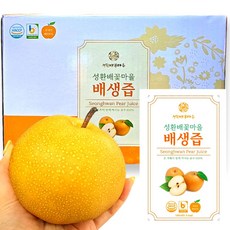 직접 재배한 배로만든 성환 프리미엄 배즙. 선물용 신고배 100%, 100ml, 50개