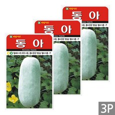 세인화분 동아 10립 - 국산 동과 호박 박 씨 씨앗
