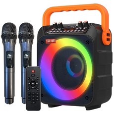 신흥몰 SM-9000 충전식 휴대용 블루투스 노래방앰프 무선MIC2 USB MP3 FM라디오 USB핀볼