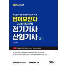답이보인다 30일 단기완성 전기기사 산업기사 실기(2026)