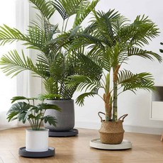 원형화분받침대 베란다화분받침 화분 받침 1호 19.5cm chl+78870rr, 아이보리