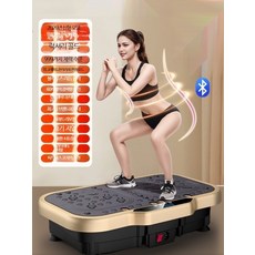 음파 진동 운동기 가정용 전신 밸런스 트레이닝 복부 허리 홈트 진동 운동기구, 단일 모델