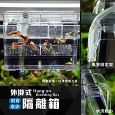 【AC草影】母魚繁殖盒, 1個, 外掛式 產卵飼育隔離箱（1.6L）