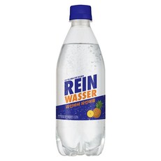 라인바싸 파인애플 탄산수, 500ml, 60개