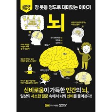 그림으로 읽는 잠 못들 정도로 재미있는 이야기: 뇌, 성안당, 모기 겐이치로