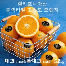 [블랙라벨] 프리미엄 고당도 미국산 캘리포니아 오렌지 (특대과 대과), 1박스, (약1.1kg) 대과(230g 내외) 5입