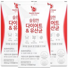 다이어트 유산균 체지방 감소 체지방컷 17 슬림핏 유산균 식약처인증, 3개, 120정
