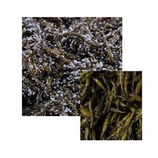 성원식품 염장 톳 해조류 해초, 2개, 4kg