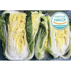 괴산 절임배추 20kg 김장 고랭지 절인 배추 HACCP인증 [원산지:국산(충청북도 괴산군)], 1개