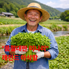 재구매 1위 산지직송 자연산 돌미나리 특품, 1박스, 500g