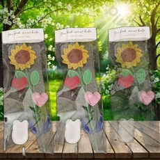 한송이 꽃 포장 비닐 랩핑지 포장지 투명 할로윈꾸미기