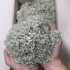 신건호멸치 볶음용 햇 지리멸치(실속형) / 잔멸치 볶음멸치 세멸치, 1박스, 1.5KG