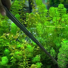 족집게 수족관, 1개, 일자 DC002308