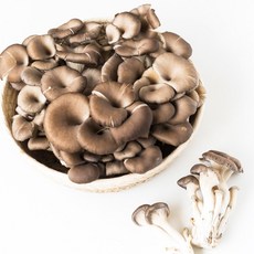 [더리얼파머스] 국내산 무농약 느타리버섯, 1개, 2kg