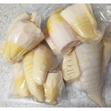햇 식용 맹종 삶은 죽순 냉장 개별포장, 1개, 1kg