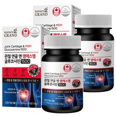 관절연골엔 MSM 엠에스엠 조인트 글루코사민, 60정, 2개