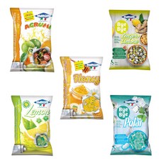 만지니 캔디 5종 (레몬 진저레몬 민트폴라 감귤류믹스 허니), 진저레몬캔디, 1개, 130g