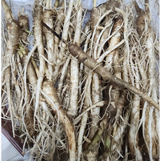 생도라지국산 나물용 무침 정과용 배즙용 국산 파지 약도라지 흙도라지 생도라지, 1개, 약도라지(중)1kg