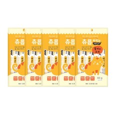 짜먹는 고양이 반려묘 간식 츄릅 참치와 오리고기 5개 묶음, 60g