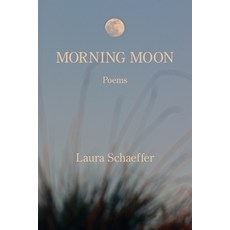 (영문도서)Morning Moon Paperback, Kelsay Books, English, 9781639807987