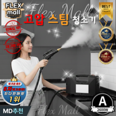 플렉스몰 핸드 스팀 청소기 핸디 고압 스팀기 세차기 세척기 분사 살균기, A