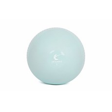 아이워너 소프트 토닝볼 2개 set 아령 대용 사용 안전한 재질, 1세트, 1kg, 소프트 민트