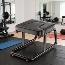 Aiiyya 인버전 기구 가정용 인버전 벤치 인버전 체어 역방향 요가 보조기 피트니스 장비 스트레칭 기구, 1개, 블랙