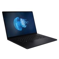 에이수스 2025 프로아트 P16 라이젠 AI 라이젠 AI 300 시리즈 지포스 RTX 5070, 나노 블랙, 1TB, 32GB, WIN11 Home, H7606WP-ME041W