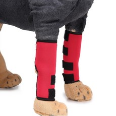 반려견 관절 슬개골 보호 밴드 2P L 관절보호대, 블랙