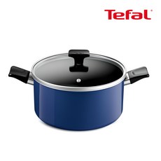 테팔 인덕션 티타늄 1X 세이버리 양수냄비, 24cm, 상세 설명 참조, 1개