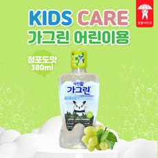 동아제약 가그린 어린이용 청포도맛 380ml 충치예방 불소 자일리톨 함유 구강청결제, 1개