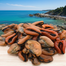 소노마푸드 국내산 경남사천 건홍합 프리미엄 명품 산지직송, 1개, 500g