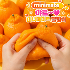 미니메이트 야르 크런치 한라봉 말랑이 슬랑이 스퀴시, 1개, 70g