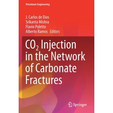 (영문도서) CO2 Injection in the Network of Carbonate Fractures Paperback, Springer, English, 9783030629885