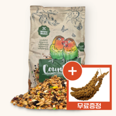 새먹이 위트모렌 컨츄리 러브버드 새 모이 애완조 새밥 사료 앵무새모이 조류, 1개, 2.5kg