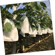 포도 재배 과일 보호 망 주머니 해충 차단 통기성 방수 커버 농업 원예 텃밭 S 100개