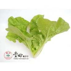 F30 白尼龍白菜種子 中包裝 朝鮮白菜 葉柔嫩, 1包