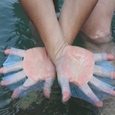 여우원숭이 손가락 물갈퀴 개구리손가락물갈퀴손오리발, M