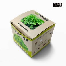 식물성장관찰 실내텃밭 상추 키우기세트 새싹키우기 채소재배 지피포트 씨앗으로 가드닝키트, 본품