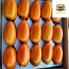 2025년 햇 대봉감 영암금정 대봉감 특품, 1개, 특품5kg(13-20과)